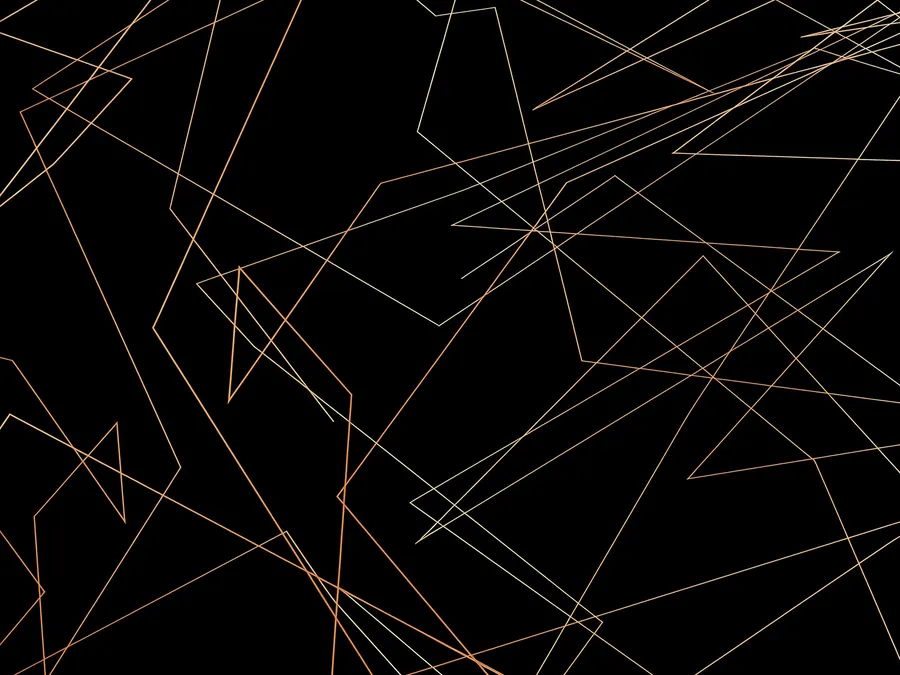 Gold lines on black photobooth backdrop