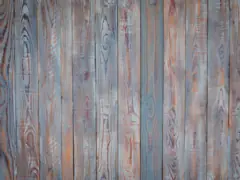 Driftwood