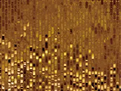 Gold sequins