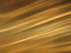 Gold silk