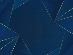 Navy facets